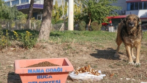 Buca Belediyesi’nden can dostlara pandemide mama önlemi 