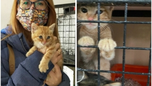 Depremden kurtarılan can dostlar sahiplendiriliyor