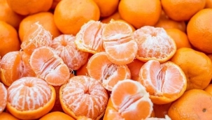 Dünya Türk mandalinasına hücum etti