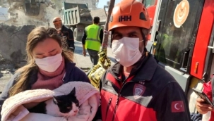 Enkazdan biri hamile dört kedi kurtarıldı