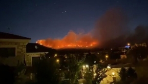 Foça'da korkutan yangın! Ormana sıçradı!