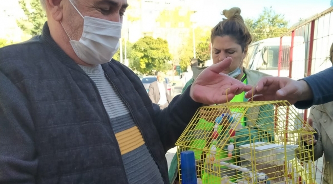 Hasarlı binadaki muhabbet kuşunu itfaiye ekipleri kurtardı