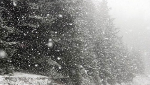 İzmir'e ilk kar düştü!