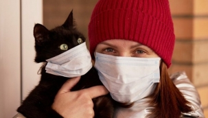 Kedisi olanlar dikkat! Vizonlardan sonra kedilerde de görüldü