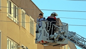 Kontrollü yıkım çalışmalarında bir kedi 8’inci kattan aşağıya atladı