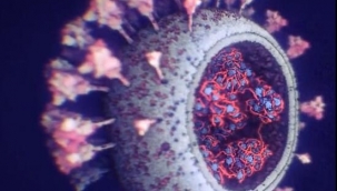 Koronavirüsün en net görüntüsü elde edildi