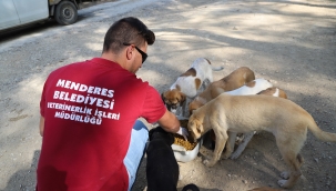 Menderes’te can dostlar emin ellerde