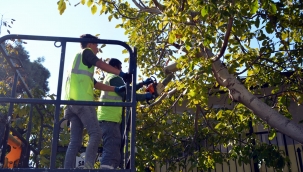 Samurlu’da sorunlar çözüme kavuşuyor