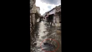 Tsunamiye kapılan babaannesini görünce yıkıldı