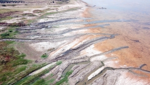 Barajlar kurudu, ekimler gecikti. Ege'nin can damarında kırmızı alarm