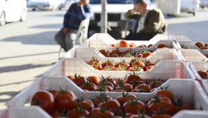 Rus halkının yemediği domatesi biz mi yiyeceğiz?