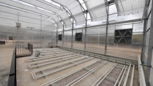 İzmir'de kuraklıkla mücadele için enstitü kuruluyor!