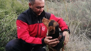 İzmir İtfaiyesi kuyuda mahsur kalan köpeği kurtardı	