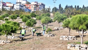  Kadifekale’yi bir de baharda görün 