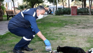 Karabağlar Belediyesi kısıtlama günlerinde sahada