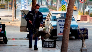Ödemiş Belediyesi, sokağa çıkma kısıtlamasında sahada 