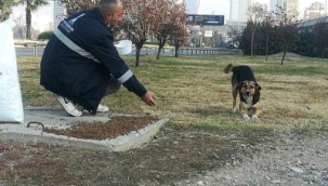 Sokakta yaşayan hayvanlar unutulmadı 