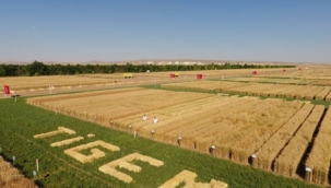 Tarım Bakanlığı kendi kurumunu desteklemiyor! 