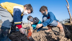 Üreticiye 'büyük' destek: 2020 yılında 363 bin meyve fidanı