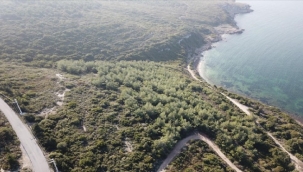 Urla'da kanuna aykırı satış operasyonu!