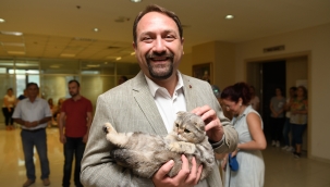 Çiğli Belediyesi veterinerlik hizmetlerinde rekor artış 