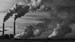 Hava kirliliği sizi öldürmese bile kör bırakabilir 