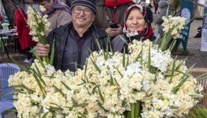 Karaburun'dan çağrı: Nergisimiz çöpe gitmesin