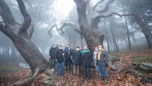 Karşıyaka’nın üstündeki Yamanlar köyü agro turizme açılacak 