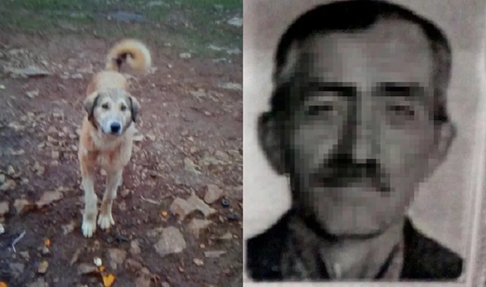 Köpeğini 'fazla ekmek yiyor' diye öldürdü, damadı şikayetçi oldu 