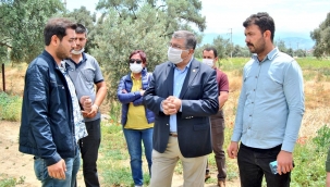 Milletvekili Sındır'dan üreticiye destek: Borçların faizleri silinsin!