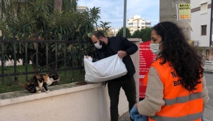 Narlıdere'de sokak canları unutulmuyor 