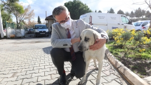 Sokağa çıkma kısıtlamalarında can dostlar unutulmuyor 