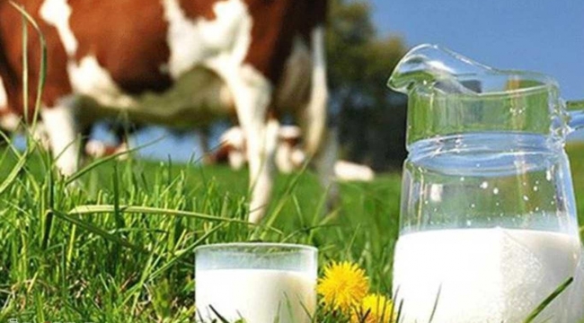 Sütün fiyatı üreticide 2 buçuk, markette 8 lira