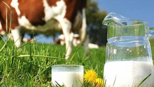 Sütün fiyatı üreticide 2 buçuk, markette 8 lira 