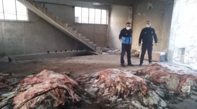 Terk edilmiş binada korkunç manzara İzmir�e at eti ve eşek eti mi