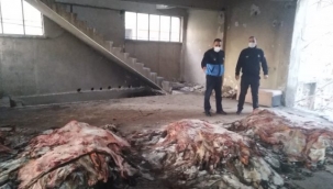 Terk edilmiş binada korkunç manzara: İzmir'e at eti ve eşek eti mi yedirdiler? 