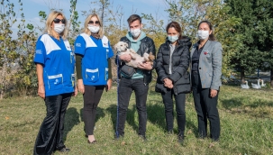 Yeni ailelerine kavuştular 