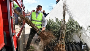 2021 yılının ilk fidanları üreticiyle buluştu: Bu yıl 550 bin adet dağıtılacak!