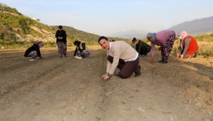 Başkan Sengel'den tarım ve kırsal mahalle üzerine: 