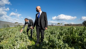  Başkan Soyer'den zarara uğrayan üreticilere ziyaret!
