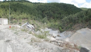 Bergama'da doğa katliamı: Granit için Türkiye'nin en kaliteli fıstık çamlarını kesecekler!