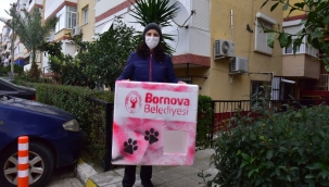 Bornova can dostlarının yanında! Kedi evleri nasıl temin edilir?