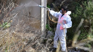 Bornova'da sineksiz yaz için ilaçlama başladı!