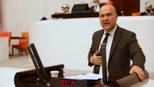 CHP’li Bakan: “İklim krizi, sadece o kutup ayısının sorunu değil”