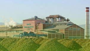 Devlete ait şeker fabrikaları satıldı, sıra TÜRKŞEKER'e ait arsalara geldi