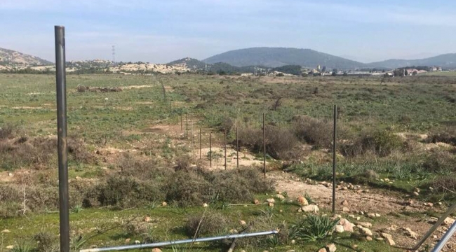 Foça'da 'tel örgü' bilmecesi: Organik tarım mı, biyokütle santraline hazırlık mı?