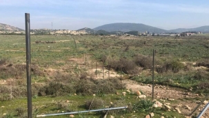 Foça'da 'tel örgü' bilmecesi: Organik tarım mı, biyokütle santraline hazırlık mı?