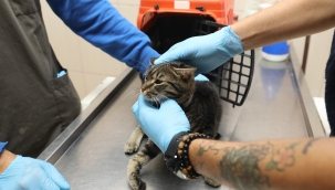 Gaziemir’de can dostlar emin ellerde!