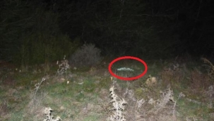 İzmir'de vahşet! Katilin ifadesi ortaya çıktı