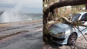 İzmir'deki fırtınada ağaçlar devrildi, çatılar uçtu, araçlar zarar gördü!